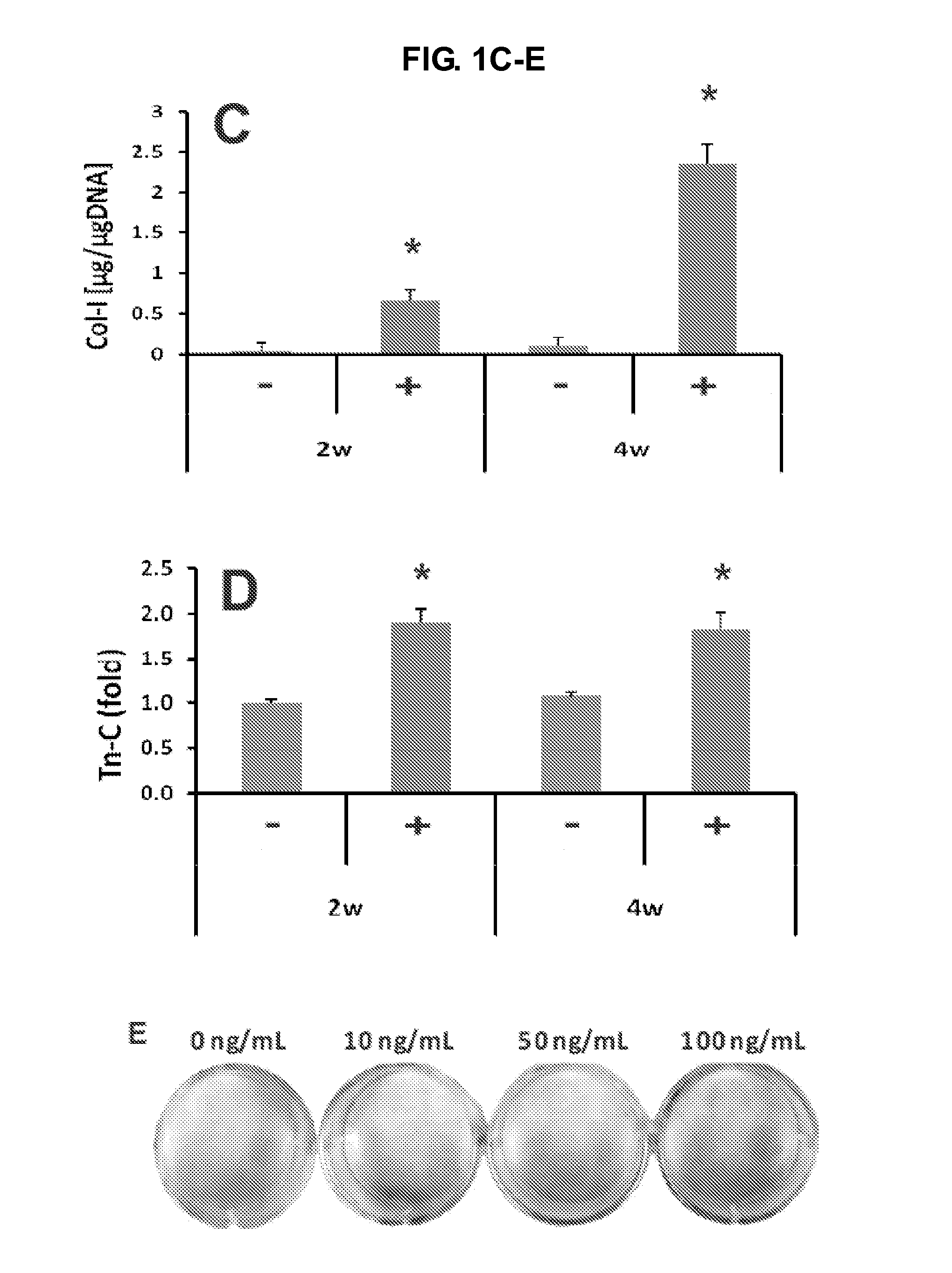 Compositions and methods for wound treatment