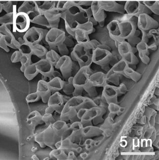 A kind of graphene-based oil-water separation foam material and its preparation method and application