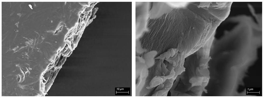 Ion-selective gel-state electrolyte, preparation method and lithium-sulfur battery