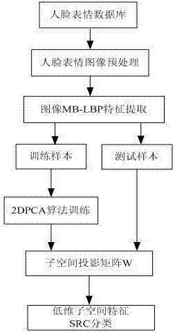 A facial expression recognition method based on MB-2DPCA features