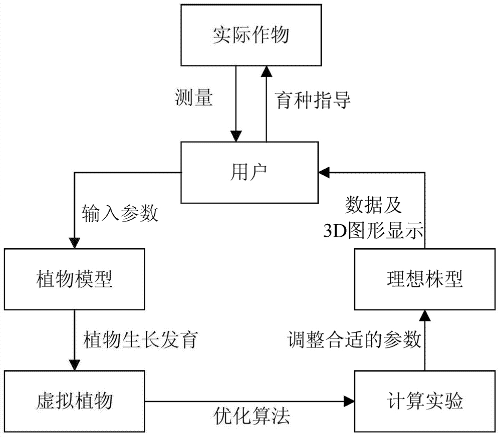 A kind of crop plant type design method