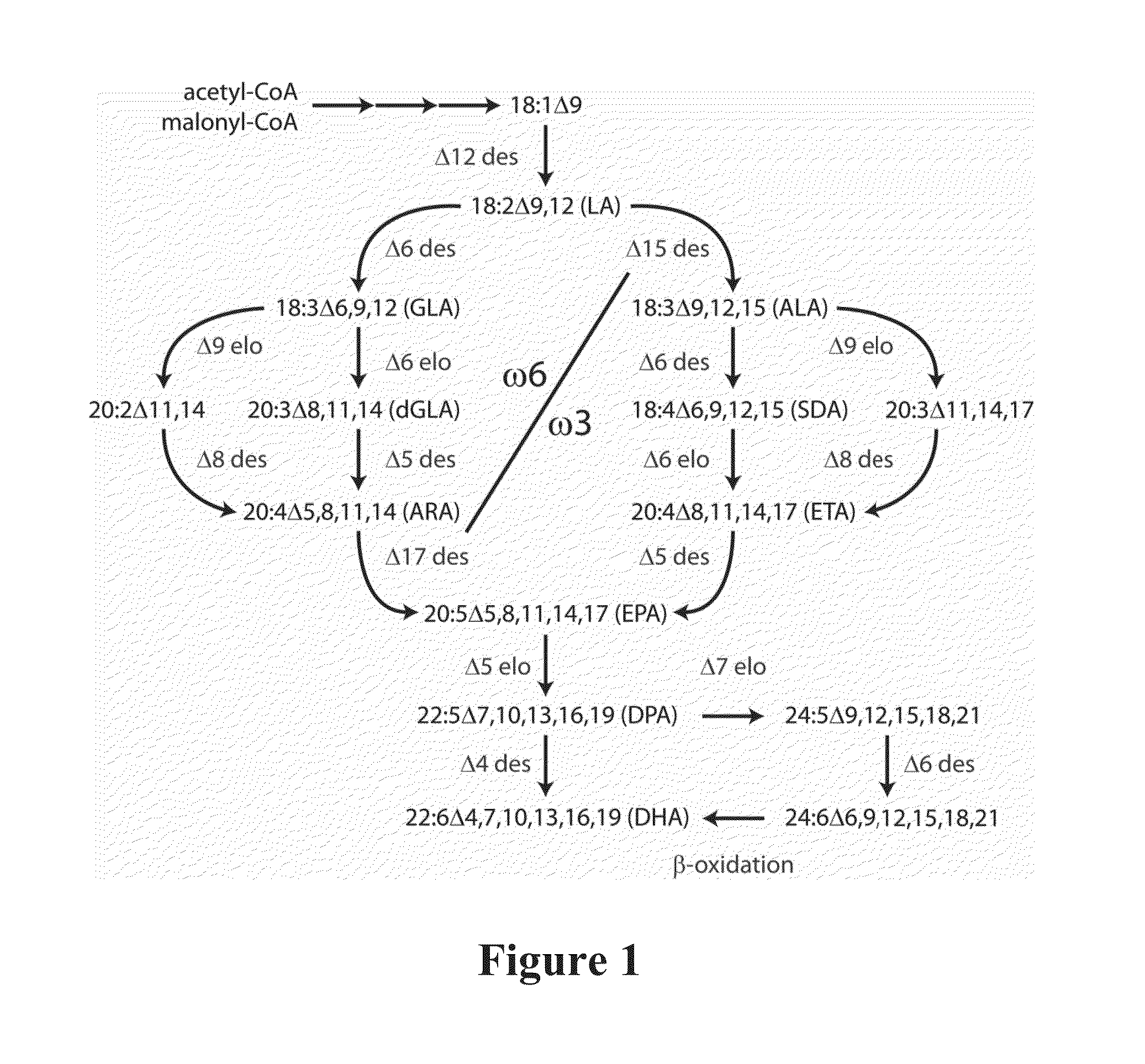 Lipid comprising long chain polyunsaturated fatty acids