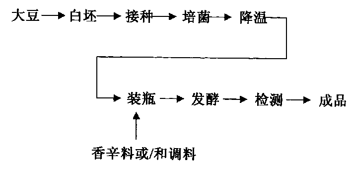 Mucor racemosus strain and process for producing fermented bean curd thereby