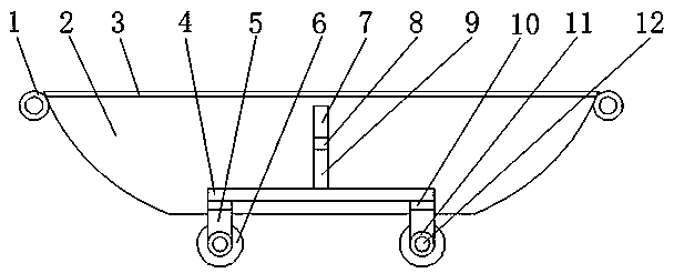 Rice seedling conveying device