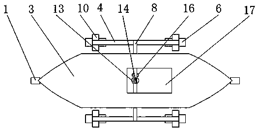 Rice seedling conveying device