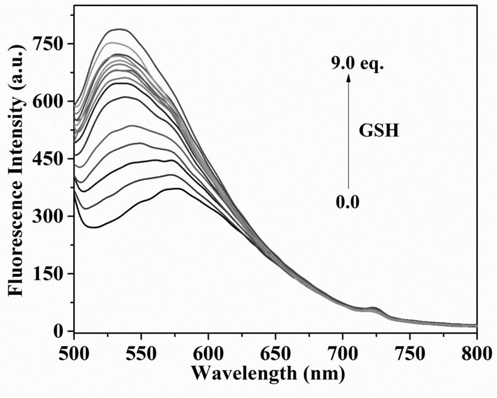Fluorescent probe for differentially detecting GSH and H2Sn (n is more than) through single-wavelength excitation