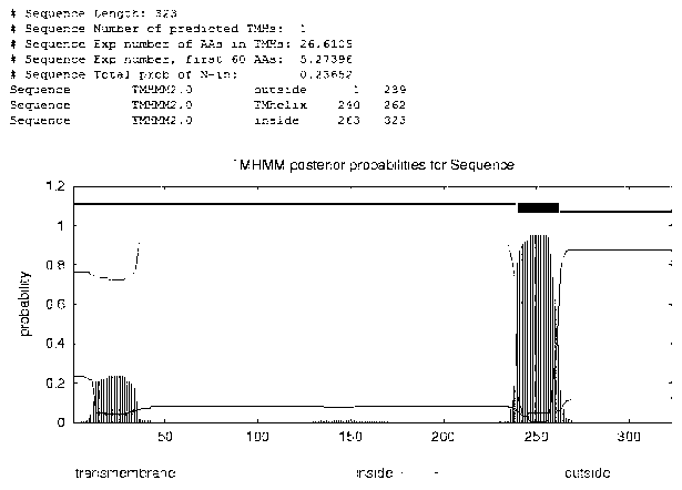 Mouse DCF1 specific polyclonal antibody and preparation method of mouse DCF1 specific polyclonal antibody