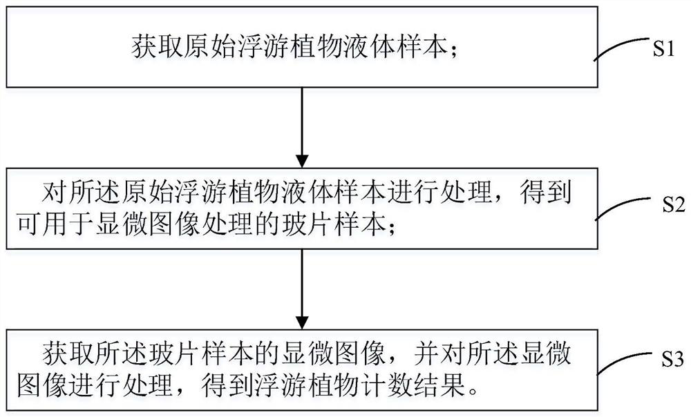 Phytoplankton counting method and device