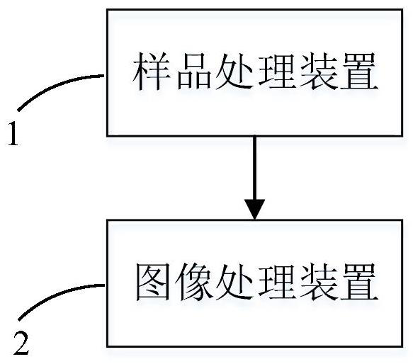 Phytoplankton counting method and device