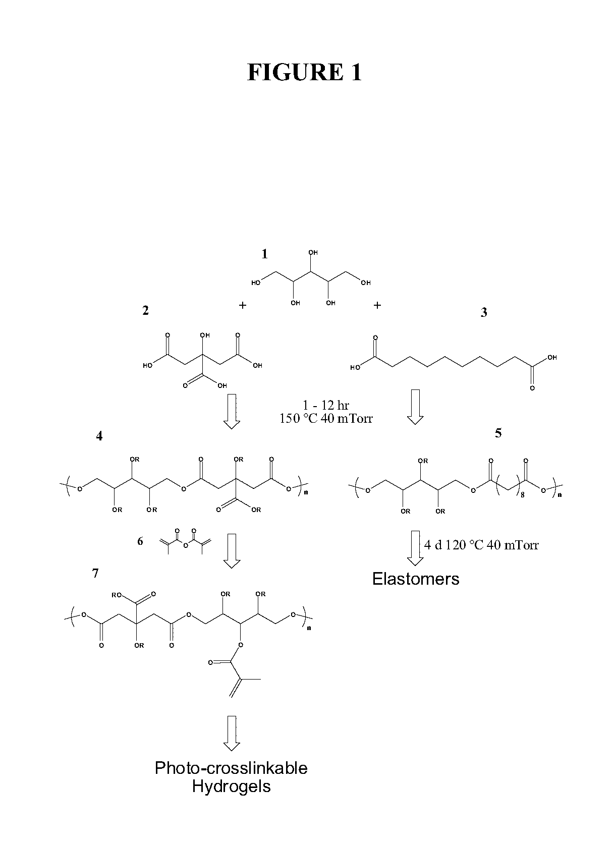 Polyol-based polymers