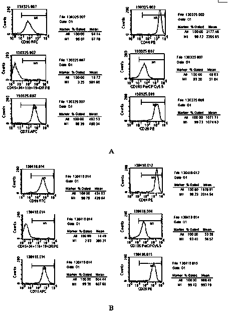 Method and application of hyaluronic acid promoting proliferation of human amniotic membrane stem cells