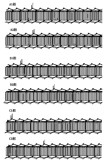 Stator assembly of automotive engine or driving motor