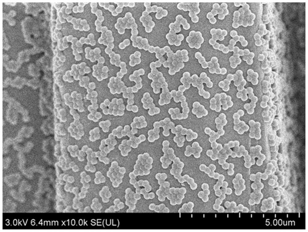 Organic microparticles