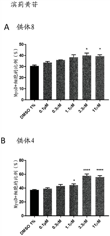 Novel polymethoxyflavone compounds for skeletal muscle modulation, methods and uses thereof