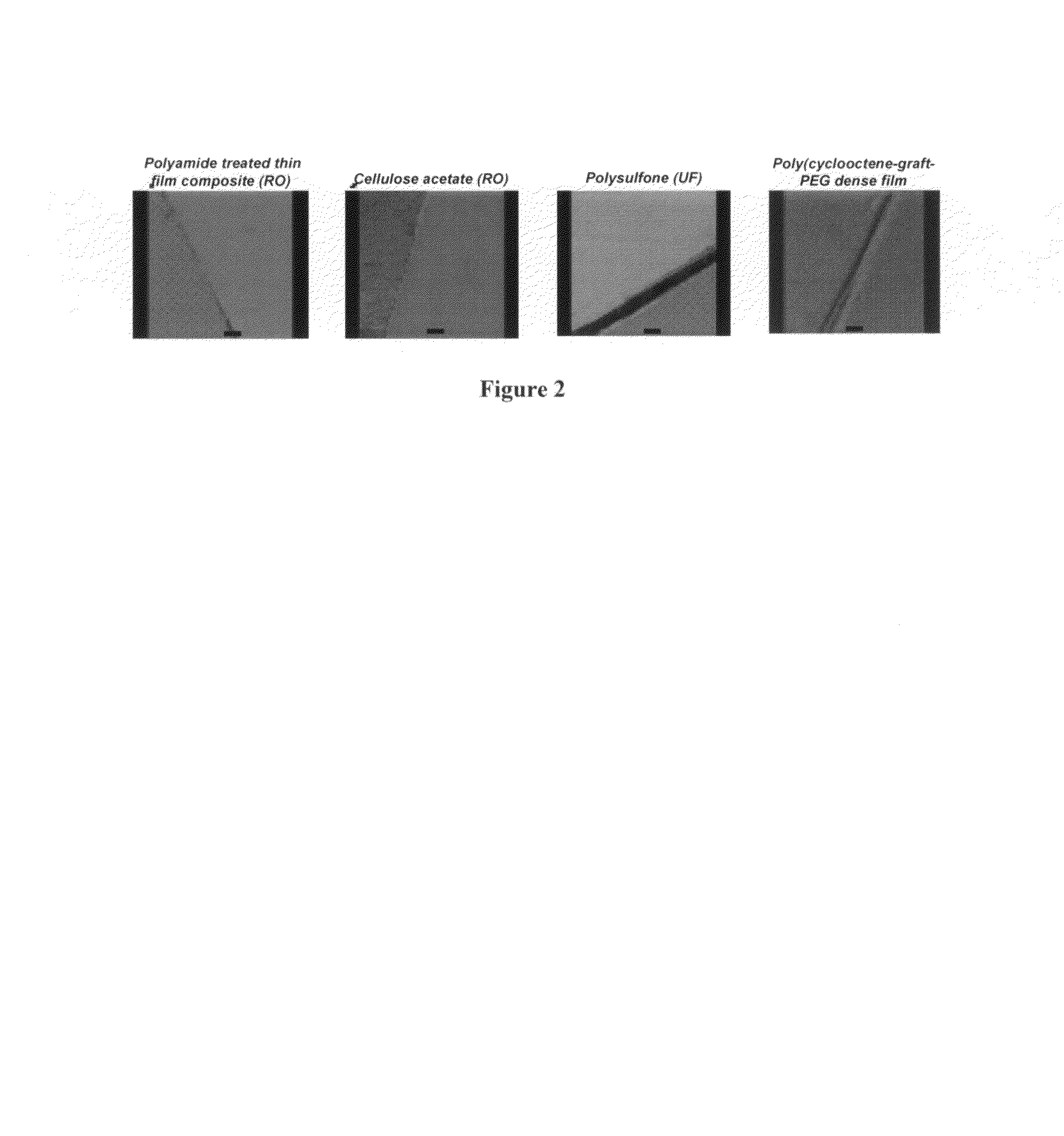 Cyclooctene monomers and polymers, and water purification articles and methods utilizing them