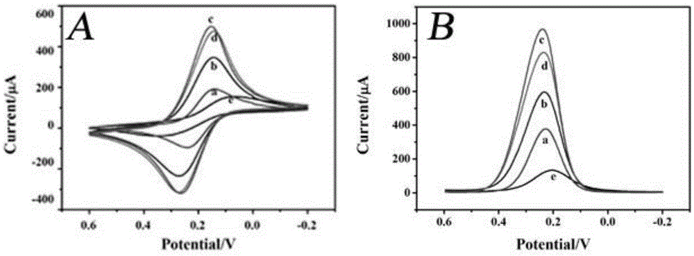 Application of nanogold-carbon nano tube-chitosan composite membrane cell sensor to detection of toxicity of food-borne pathogenic bacteria