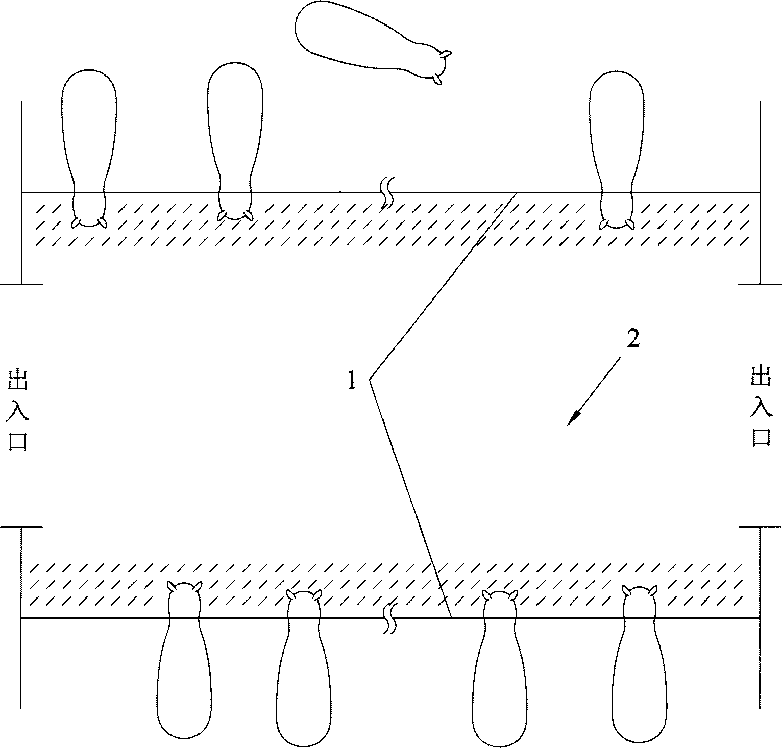 Robot for feeding pasture