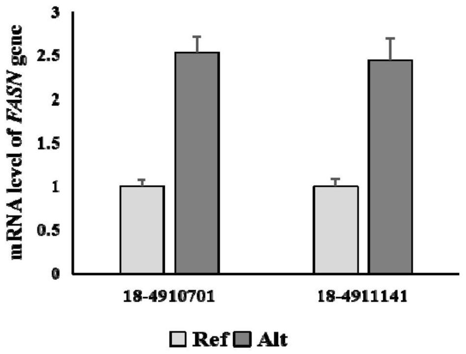 SNP loci for increasing content of fatty acid C14: 0 in chicken and method for breeding high-quality chicken strain