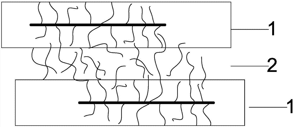 Graphene-functionalized polyphenyl ether/nylon 6 composite material and preparation method