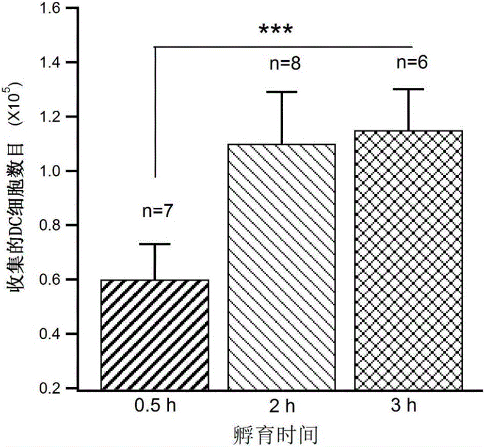 Method for efficient acquisition of DC cells