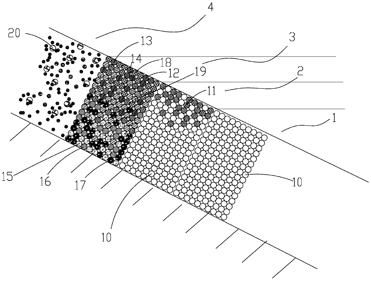 An ecological configuration method for waterfront plant landscape