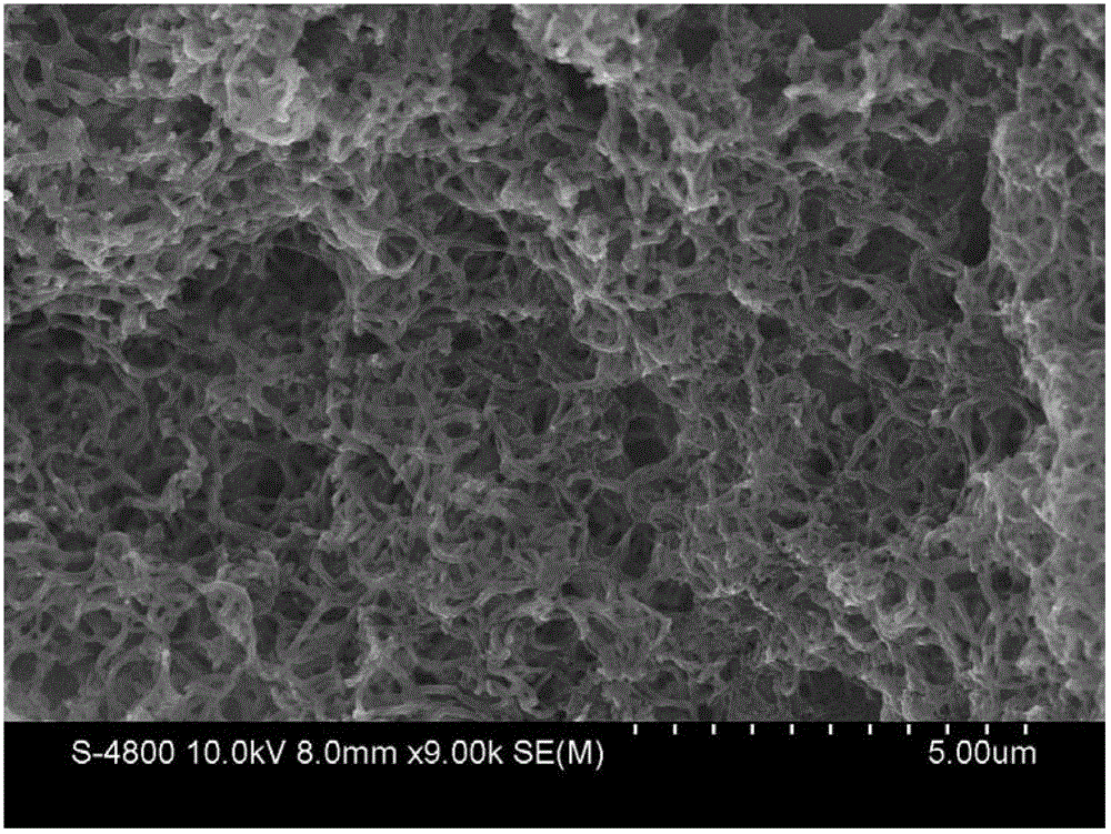 Preparation method for graphene nanosheet/conducting polymer nanowire composite material