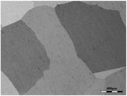 A high-temperature homogenization treatment method for super austenitic stainless steel