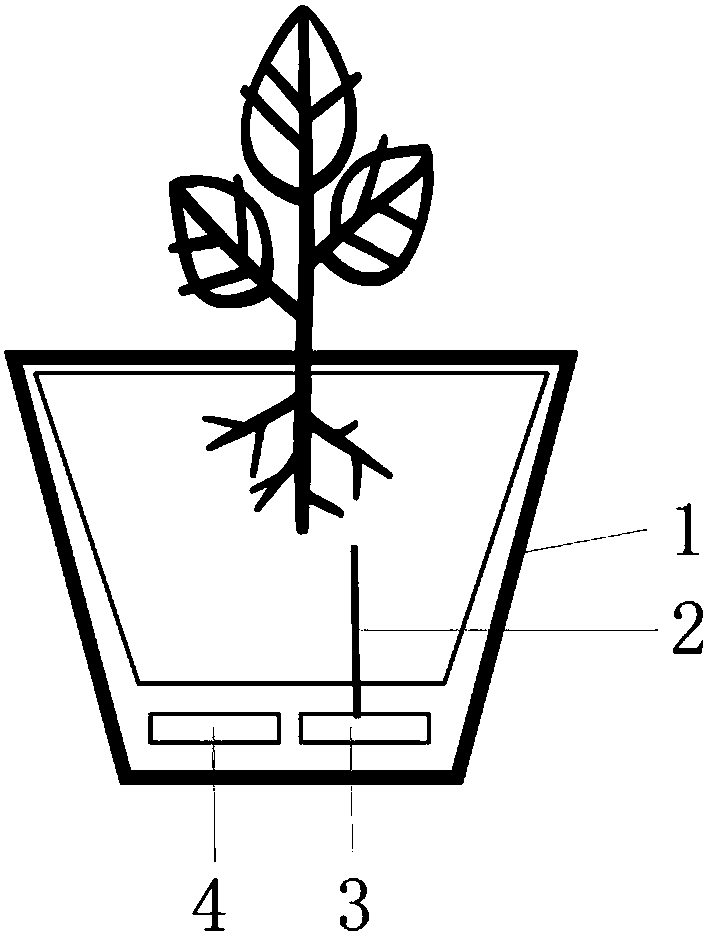 Plant touch small night lamp and control method thereof