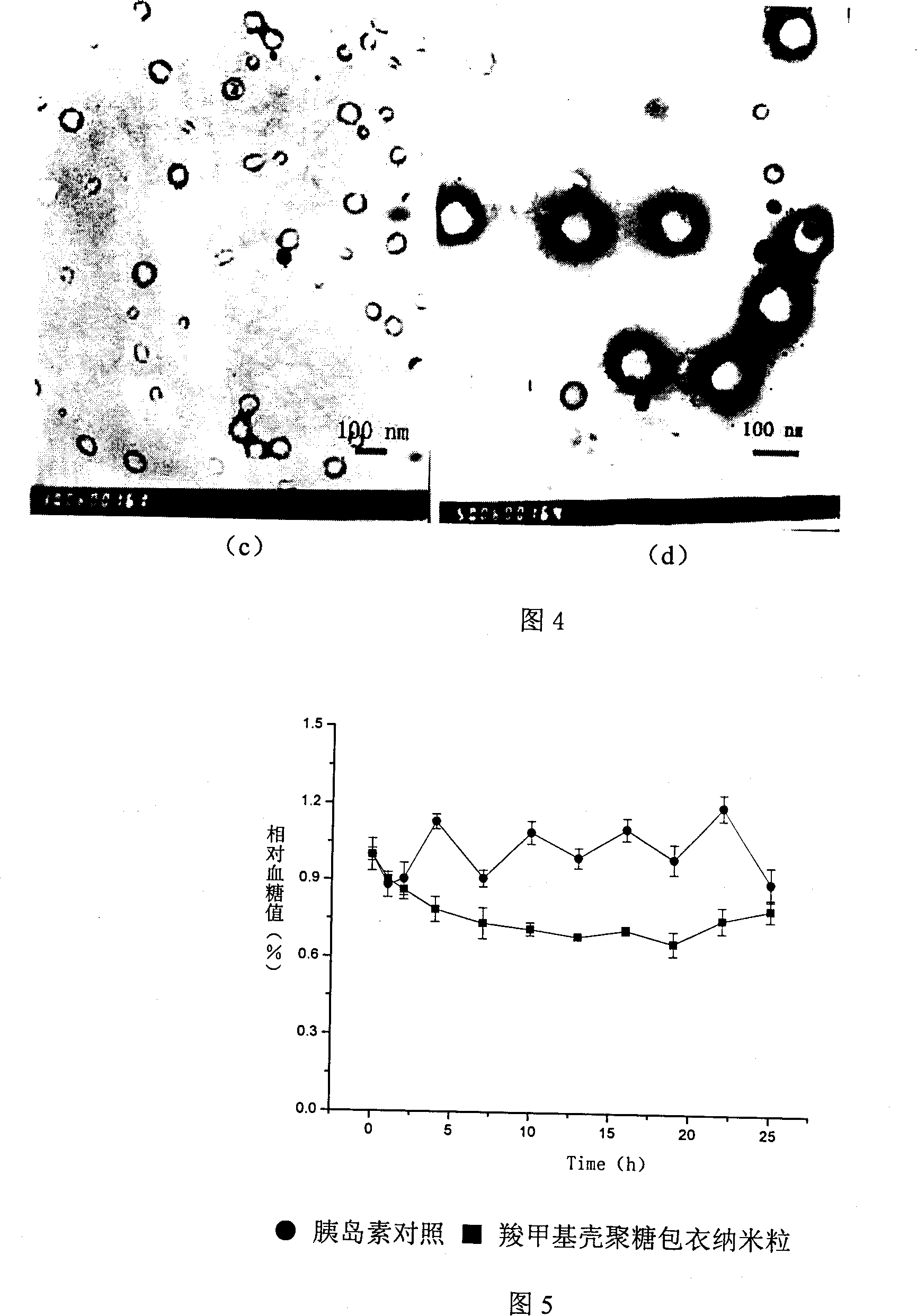 Nano granules adhesive to mucous membrane, preparation method and application