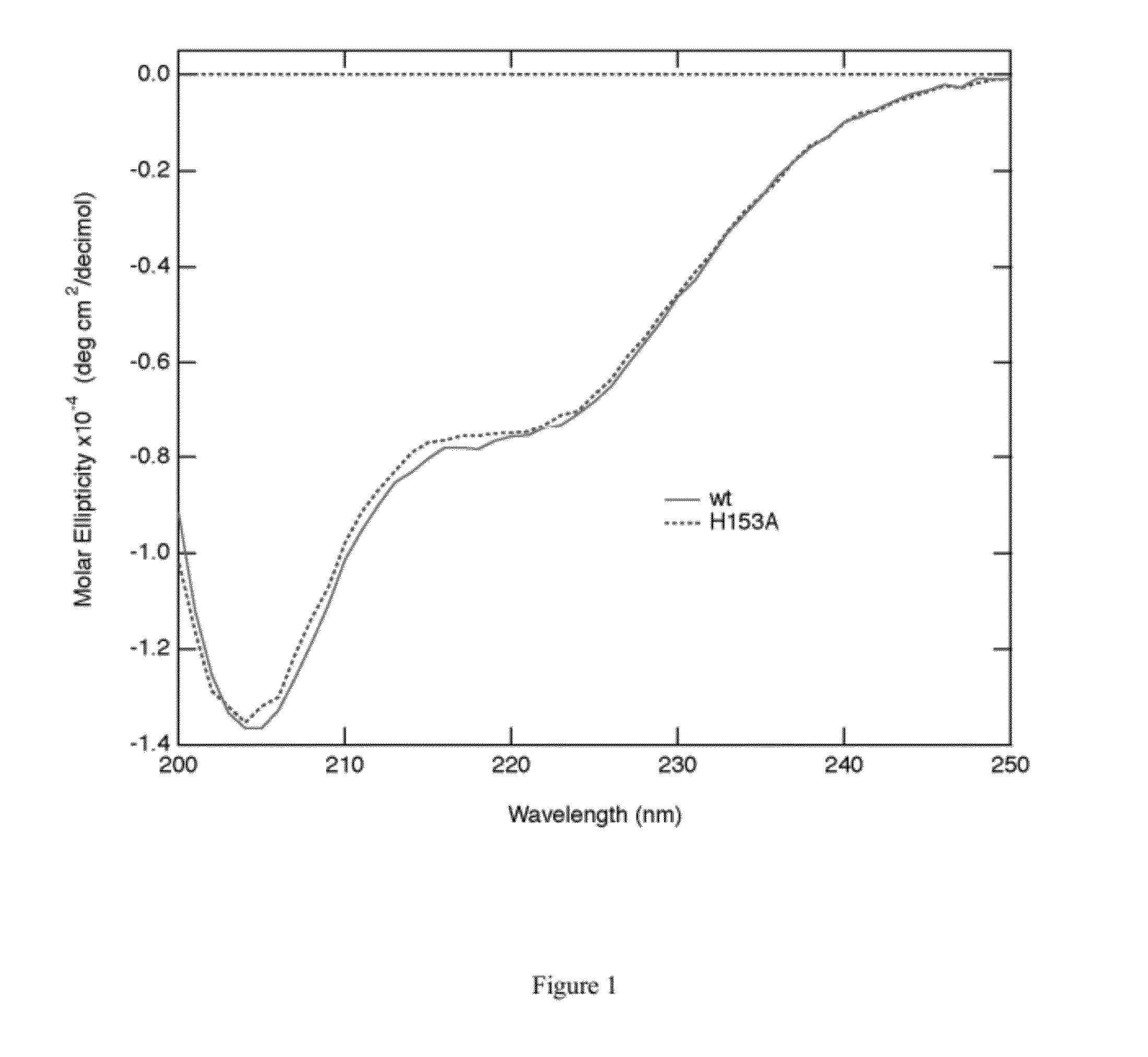 Method for using ref protein as a targeted reca-dependent nuclease