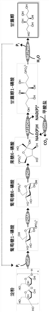 Biological preparation method of mannitol