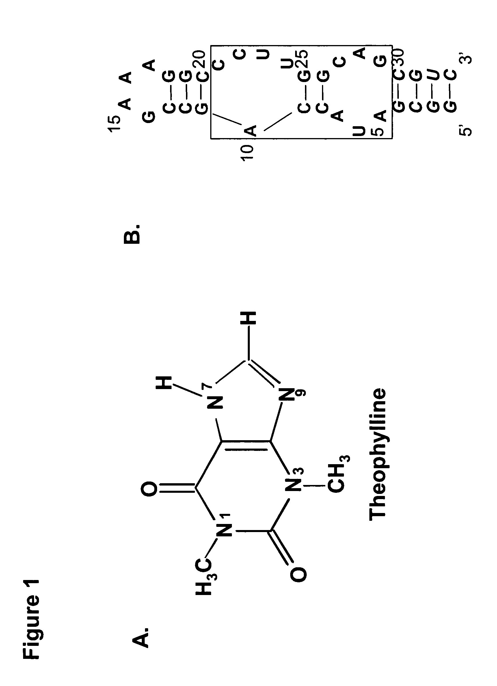 Artificial riboswitch for controlling pre-mRNA splicing