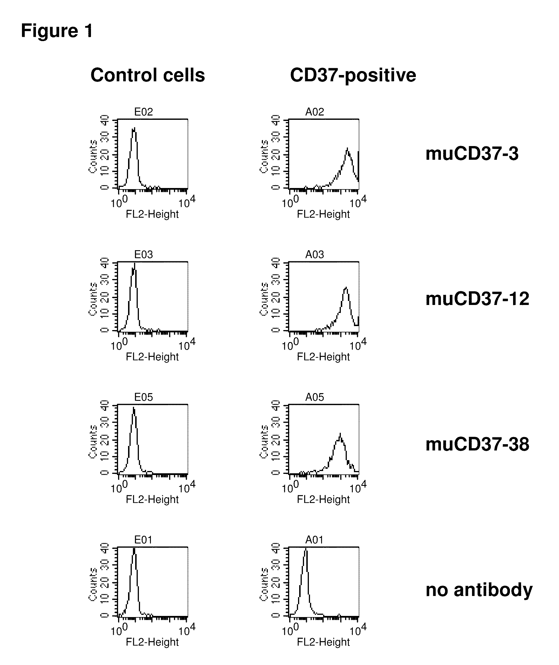 CD37-Binding Molecules and Immunoconjugates Thereof