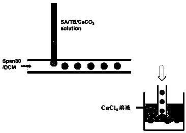 Preparation method and application of a pH-responsive calcium alginate/vaterite calcium carbonate composite microsphere with controllable release rate