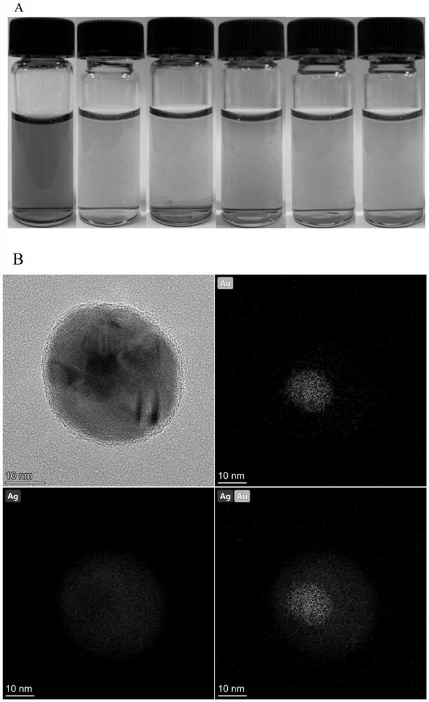 SERS (Surface Enhanced Raman Scattering) immunochromatography test strip for detecting cow milk allergen alpha-lactalbumin and application thereof