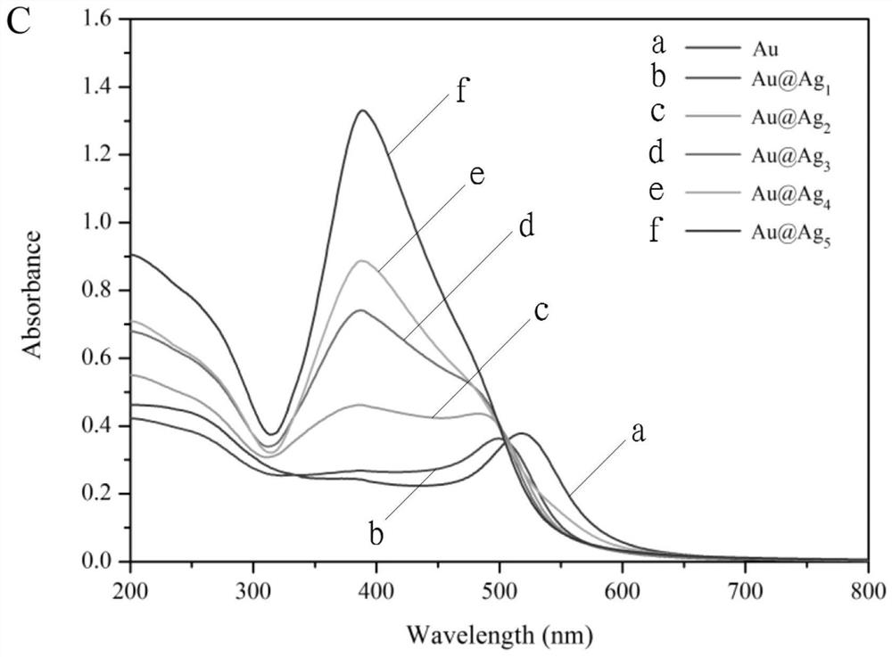 SERS (Surface Enhanced Raman Scattering) immunochromatography test strip for detecting cow milk allergen alpha-lactalbumin and application thereof