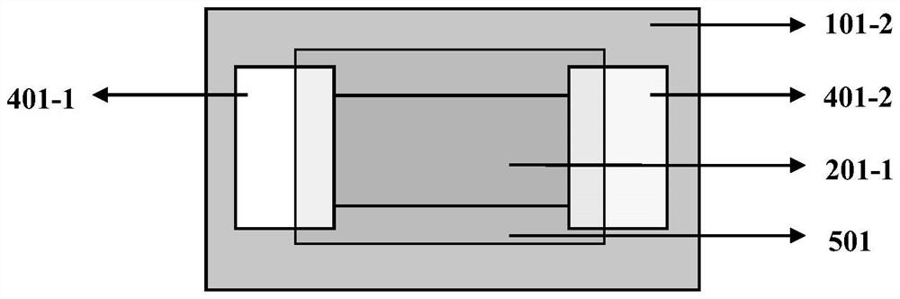 A kind of photodiode and preparation method based on tmdcs lateral pin homojunction