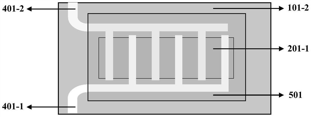 A kind of photodiode and preparation method based on tmdcs lateral pin homojunction