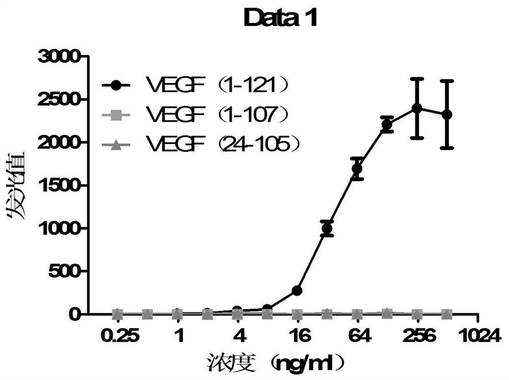 VEGF-CRM197 recombinant fusion protein vaccine as well as preparation method and application thereof