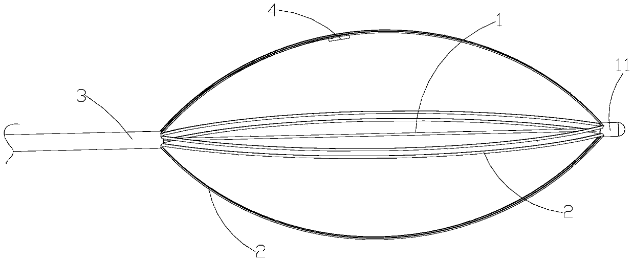 A kind of mesh basket ablation catheter and ablation device