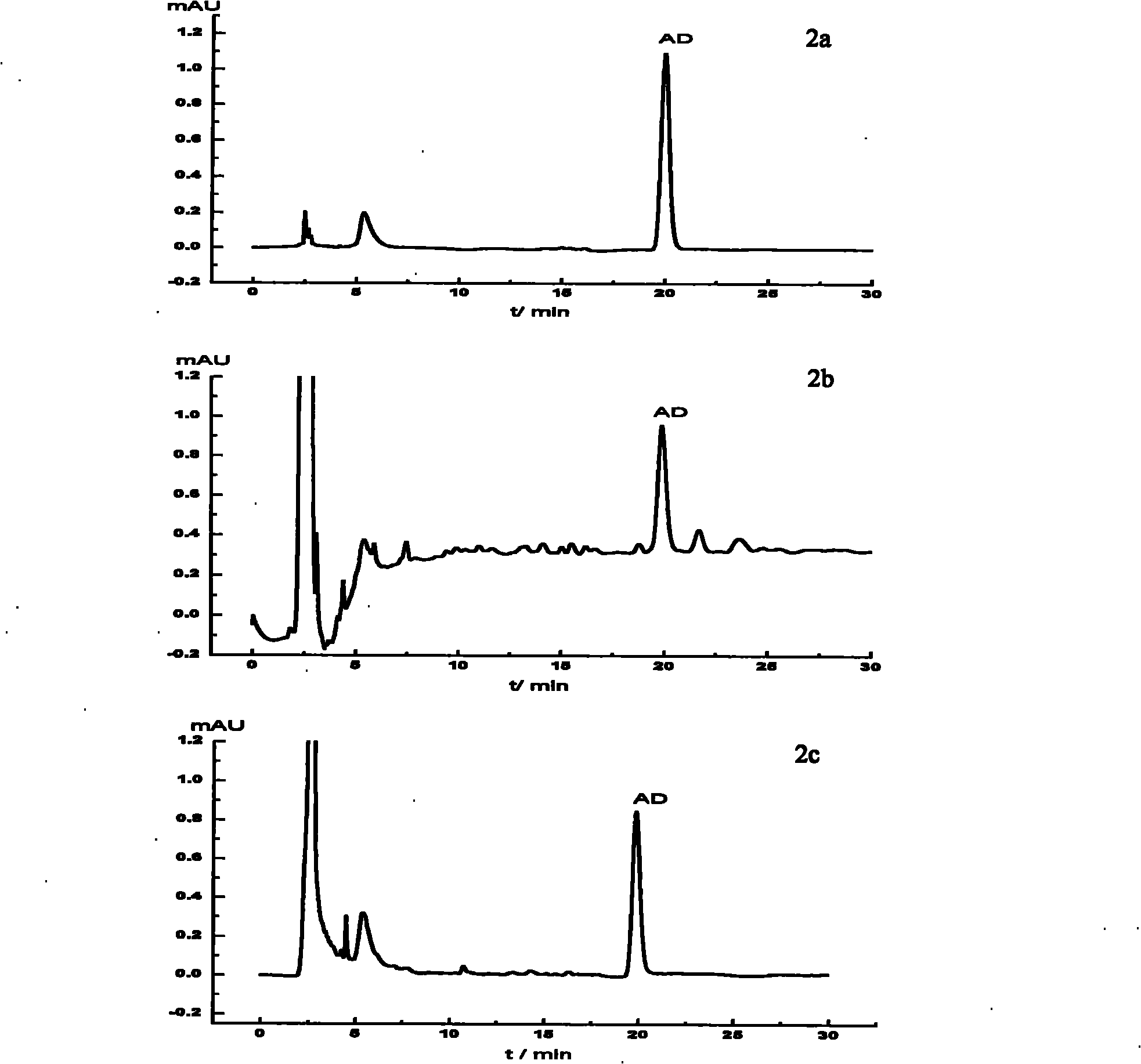 Preparation and application of amiodarone molecular imprinting solid-phase extraction column