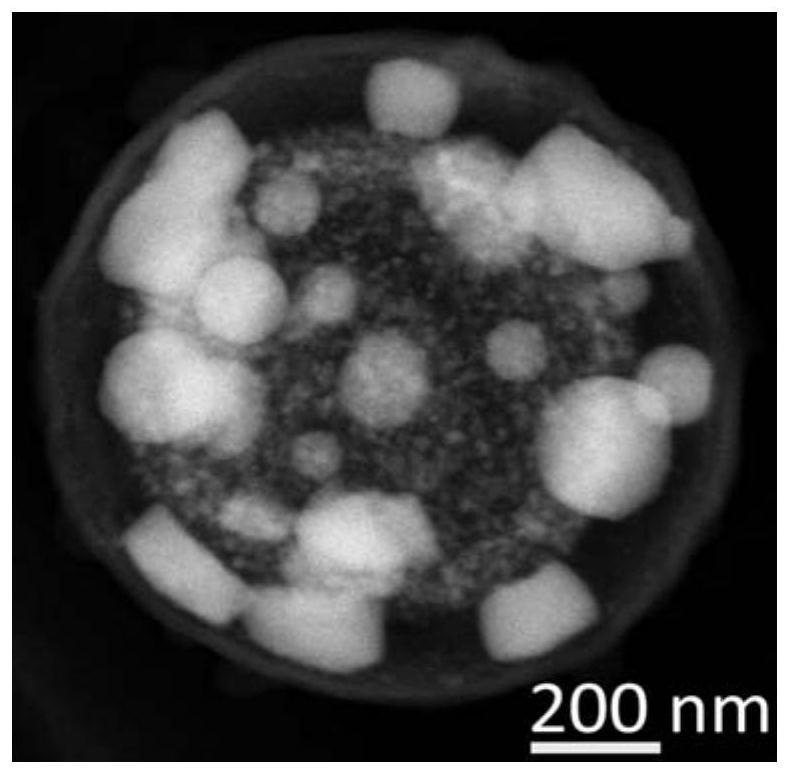 A multi-core multi-shell hollow material encapsulating nanoparticles and its preparation method and application