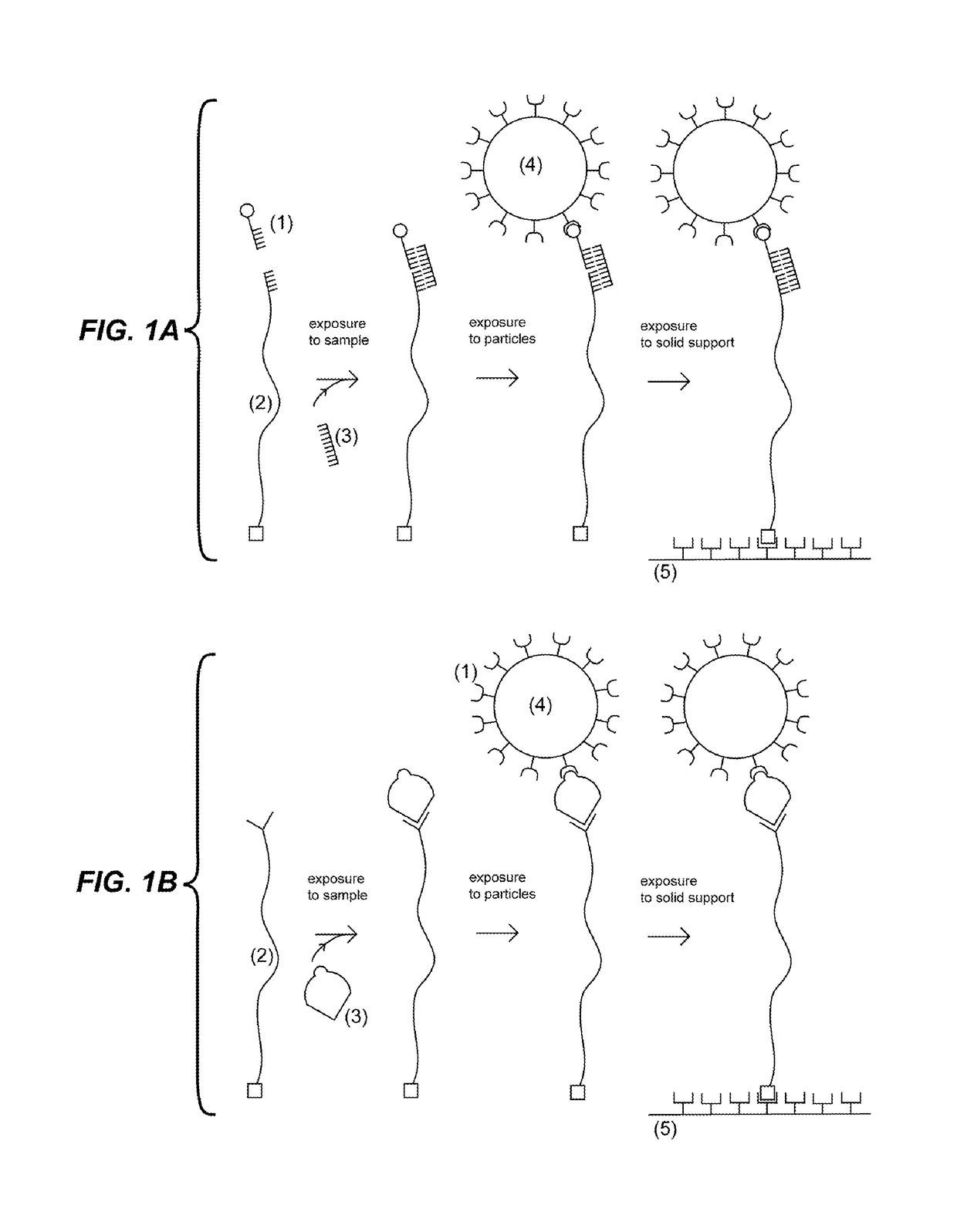 Detection units and methods for detecting a target analyte