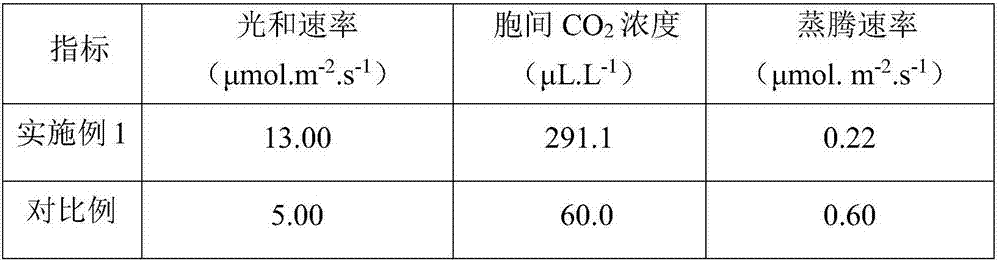 Flue-cured tobacco high-temperature forced mature prevention and control agent and application thereof