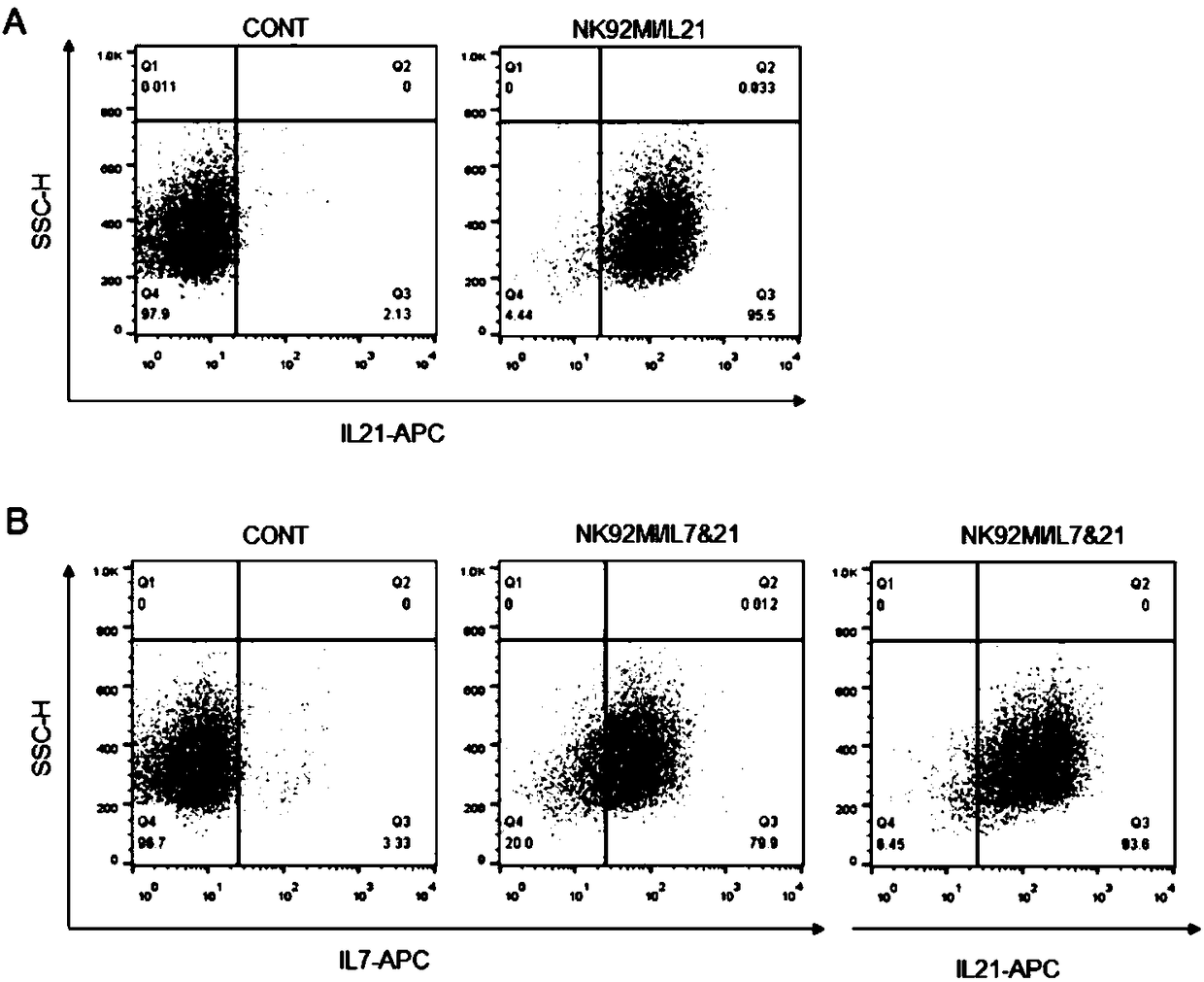 IL7 (Interleukin-7) and IL21 (Interleukin-21) modified NK92 (Natural Killer-92) cell as well as preparation method and application thereof