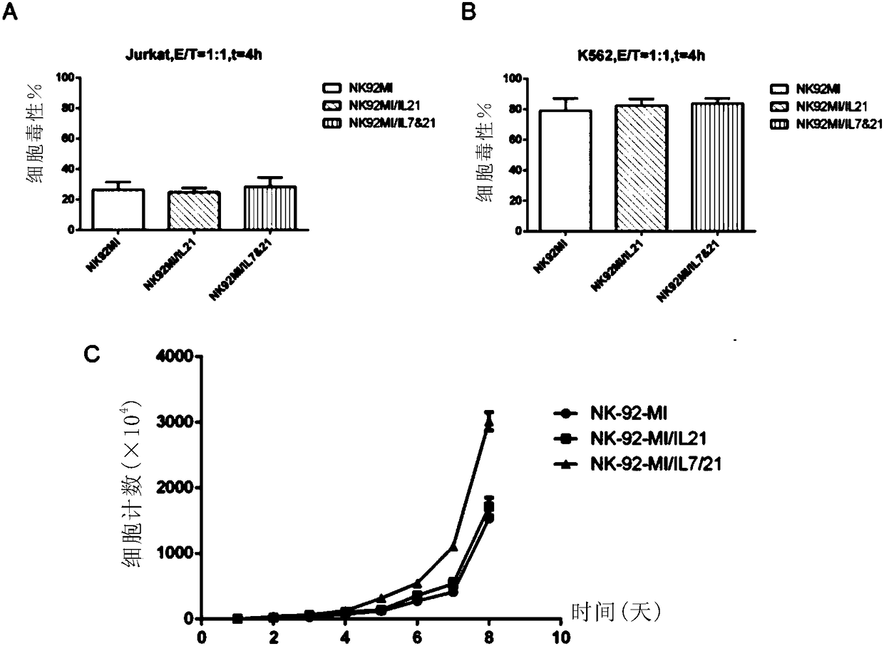 IL7 (Interleukin-7) and IL21 (Interleukin-21) modified NK92 (Natural Killer-92) cell as well as preparation method and application thereof