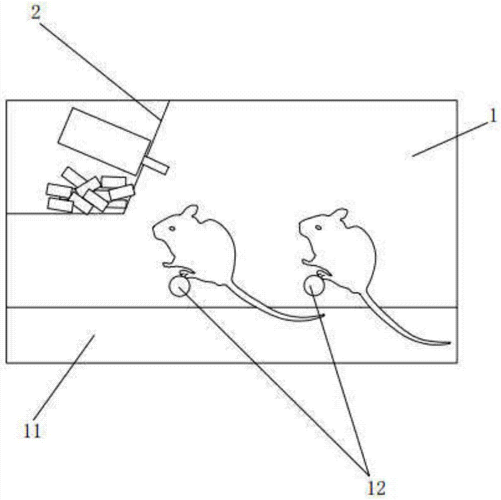 Building method of dry-eye animal model