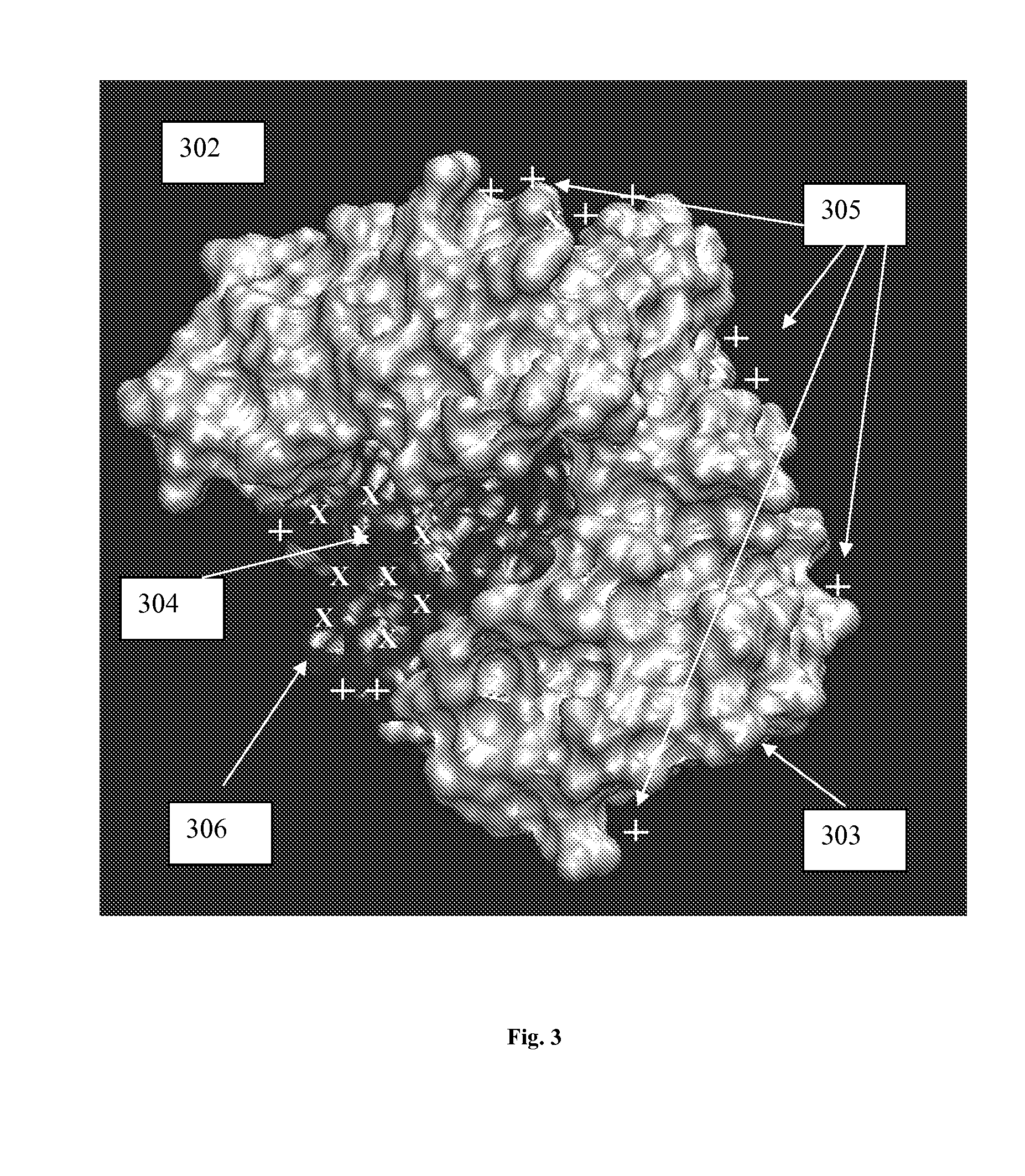 Method for Estimation of Location of Active Sites of Biopolymers Based on Virtual Library Screening