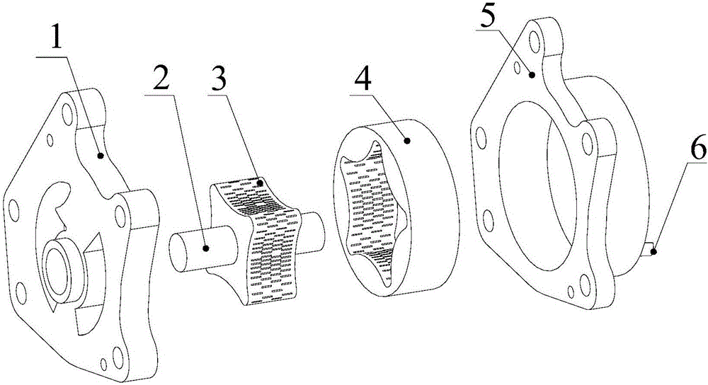 Cycloid rotor pump with unsmooth surfaces