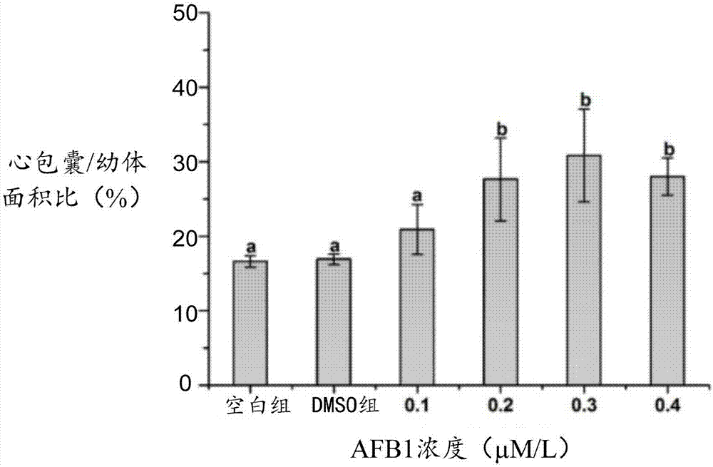 Method for detecting toxicity of aflatoxin B1